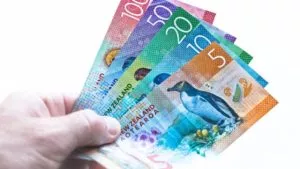Beneficiary loans NZ